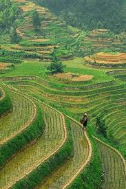Longshen Rice Terraces In Guilin China By Jasper Guilin Guilin China Places To Travel