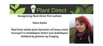 كُحْل‎ kuḥl) or kajal or kajol is an ancient eye cosmetic, traditionally made by grinding stibnite (sb2s3) for similar purposes to charcoal used in mascara. Recognizing Plant Direct First Authors Kaisa Kajala Plantae Plantae