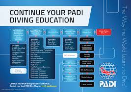 Padi Courses Chart Bali Scuba