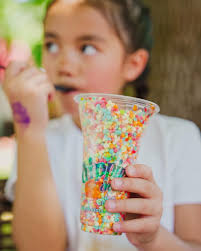 Lagoon Amusement Park