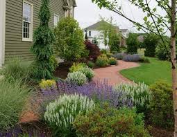 Foundation Planting View Three Evergreen Foundation Planting Foundation Planting Plants