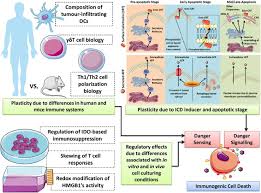 He swore that one day, those who shunned him would kneel before him and beg for mercy, eventually! Danger Signalling During Cancer Cell Death Origins Plasticity And Regulation Cell Death Differentiation