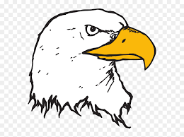 Dimana burung ini selalu berdekatan dan terlihat lengket satu sama lain bahkan antara sesama jenis burung lovebird. Bald Eagle Head Clipart Cara Menggambar Mata Burung Elang Hd Png Download Vhv