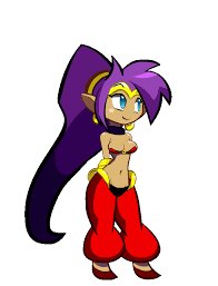 perhaps i'm back — Shantae and Risky from an animation commission :V...