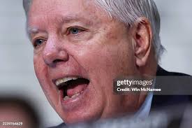 414 fotos e imagens de alta resolução de Graham Mcnamee