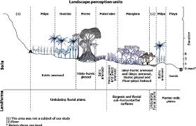 Garden design elevations being a freelance artist. Cross Section Schematic Of The Landscape Perception Unit Types Map Download Scientific Diagram
