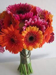 Gerbera Zinnia Bouquet Paperblog Zinnia Bouquet Gerber Daisy Bouquet Wedding Daisy Bouquet