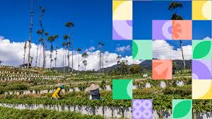 Cumplimos 50 años: la nueva imagen de Oikocredit y su nueva web - Oikocredit