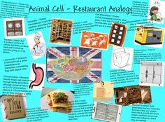Maybe you would like to learn more about one of these? Homework Help With Analogies Homework Help With Analogies