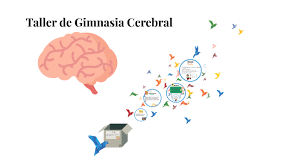 Curabitur a sapien a leo euismod porta. Taller De Gimnasia Cerebral By Fatima Huesca