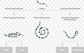 Select a design to create a logo now! Arimoclomol Technology Niemann Pick Disease Orphazyme Aps Clinical Trial Png 1000x639px Technology Body Jewelry Brand Clinical