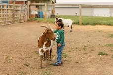 Cuddle Corner — Little Hooves Homestead