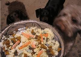 Or add meat broth to make it tastier.) in addition to raw food or a very high quality canned food (especially for cats) and hypoallergenic kibble (or dogs), a good digestive enzyme and probiotic. Bland Diet Recipes For Dogs With Upset Stomach Pethelpful By Fellow Animal Lovers And Experts
