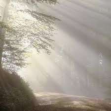 We did not find results for: 29 Kata Ucapan Selamat Pagi Awali Hari Dengan Semangat Ragam Bola Com