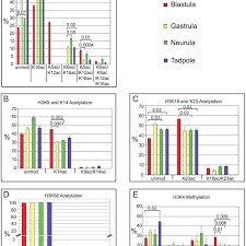Bar Charts Showing The Relative Abundance Of Histone