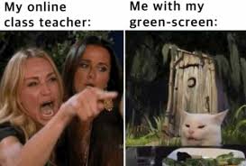 dopl3r.com - Memes - Me with my My online class teacher green-screen