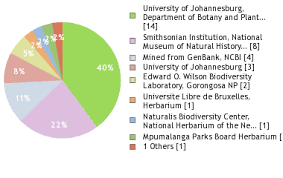 Image result for Maerua grantii