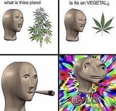 Pin By Emily On These Memes Be Dank Funny Relatable Memes Really Funny Memes Stupid Memes