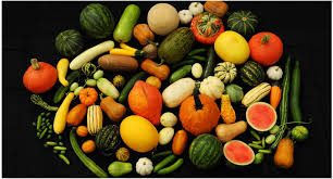 Image result for Cucurbitaceae