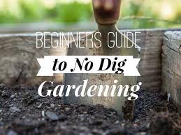 Maybe you would like to learn more about one of these? No Dig Vegetable Gardening For Beginners Gardening Channel