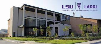 Lsu Louisiana Animal Disease Diagnostic Laboratory Laddl