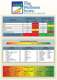 How To Measure Health And What Is A Wellness Score