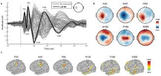Pdf to word conversion is fast, secure and almost 100% accurate. Pinging The Brain With Transcranial Magnetic Stimulation Reveals Cortical Reactivity In Time And Space Biorxiv