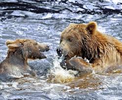 Find, compare prices and book your flight destination with edreams! Alaska Und Kanada Seereise 2022 Hurtigruten Expeditions