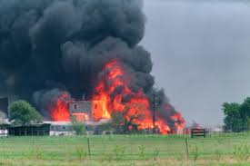 Look no further, booksy lays them out for you! The Waco Siege 1993 Feature Spin