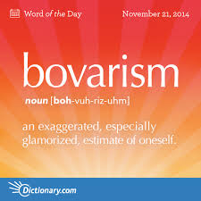 Bovarism Word Of The Day Dictionary Com Unusual Words Weird Words Uncommon Words