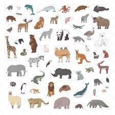 Animals World Map Animal Illustration Animals Illustrated Map