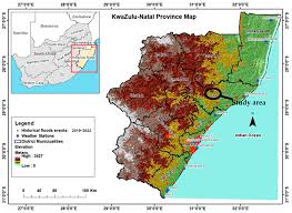 Image result for Vangueria sp.