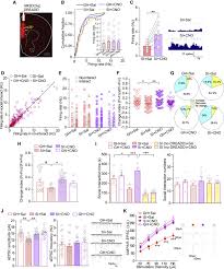 Nous avons la liste des coordonnées de toutes les principales activités et services en belgique. Neural Circuits And Activity Dynamics Underlying Sex Specific Effects Of Chronic Social Isolation Stress Sciencedirect