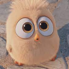 Google Cute Gif Funny Gif Bird Gif