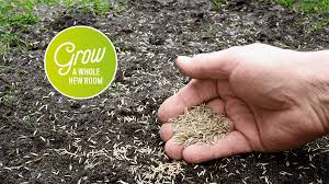 For grass seed to germinate and grow strong, the soil must have the right ph. How And When To Sow Grass Seed Get The Perfect Lawn Homebase