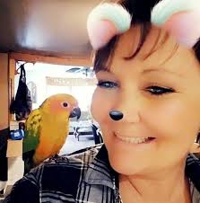 Hey all my bird named DJango a Jenday Conure was lost today in Salisbury  North, his favorite treats are sultanas and sunflower seed. He's not overly  fond of strangers unless they have