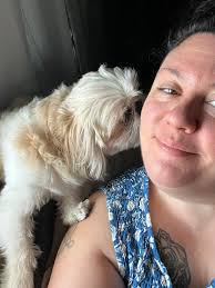 Any suggestions for a 5-year-old Shih Tzu throwing up bile?