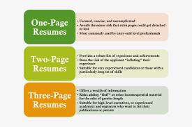 22 Smallest Font For Resume Icon Smallest Font For Margins For Resume 620x466 Png Download Pngkit