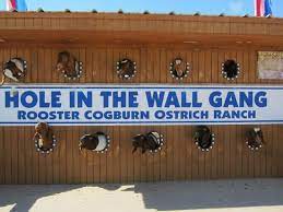 Al bidya, united arab emirates. Donkies Appear Through The Wall Picture Of Rooster Cogburn Ostrich Ranch Picacho Tripadvisor