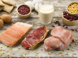 Protein Sources Deficiency And Requirements
