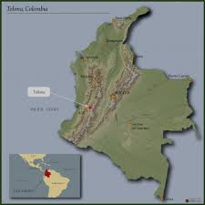 You are on corporacion club deportes tolima live scores page in football/colombia section. Colombia Tolima Excelso Ep Royal Coffee