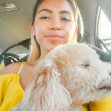 Golden Doodle Owners