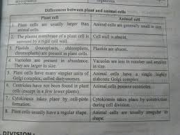 We did not find results for: Difference Between Plant Cell And Animal Cell Brainly In