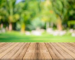 Baixe Tabela Com Fundo Distorcido Gratuitamente Forest Background Background Pictures Backgrounds Free