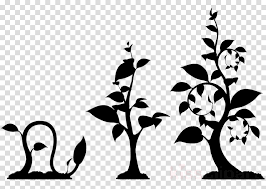 Plant black and white clip art. Black And White Flower Clipart Illustration Plants Graphics Transparent Clip Art