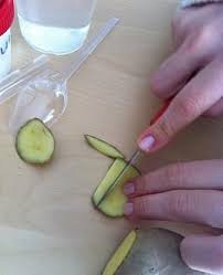 Deneyler Panosundaki Pin