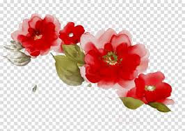 Also, find more png clipart about illustrator clip art,food clipart,graphic clip art. Poze Blog Flori Poze Cu Flori