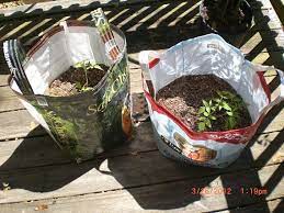 Check spelling or type a new query. Pin By Ramona Muller C On Garten Usw Feed Bags Diy Grow Bags Plant Bags