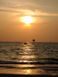 Diese unterkünfte werden aufgrund ihrer lage, sauberkeit und weiteren corner 3bedroom landed nearby bagan lalang beachour homestay is located at jalan helang siput nearby bagan lalang beach. Bagan Lalang Sepang Gold Coast Gold Coast Sepang Places Ive Been