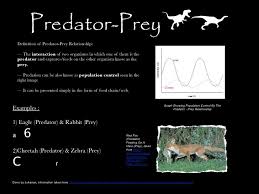 Biotic Relationship Group 3 A predator is an animal that kills and eats other animals. biotic relationship group 3